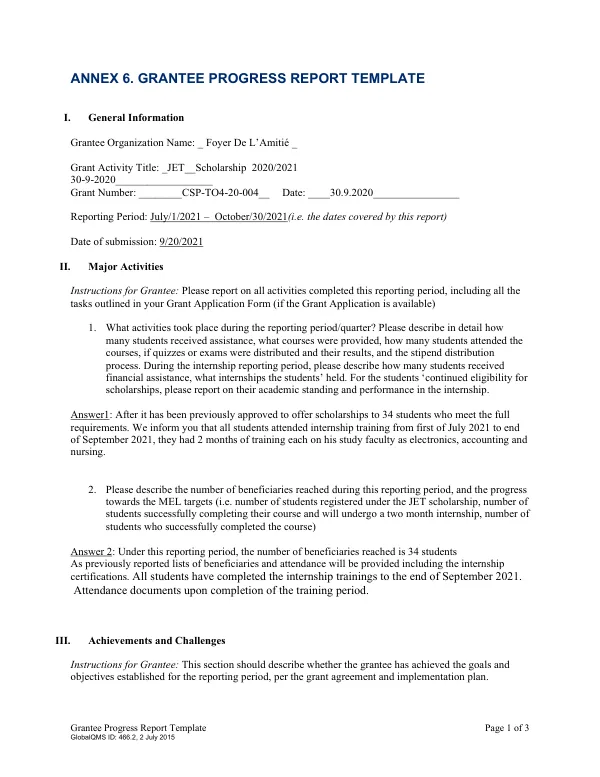 Grantee Progress Report Template