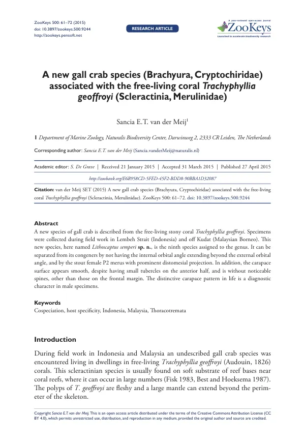A new gall crab species (Brachyura, Cryptochiridae) associated with the free-living coral Trachyphyllia geoffroyi (Scleractinia, Merulinidae)