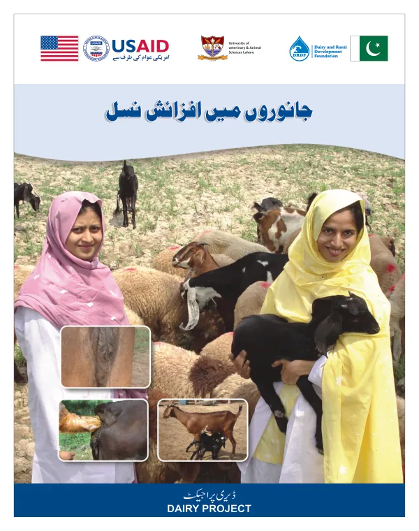 Afzaishay Nasal Pages 06-02-12