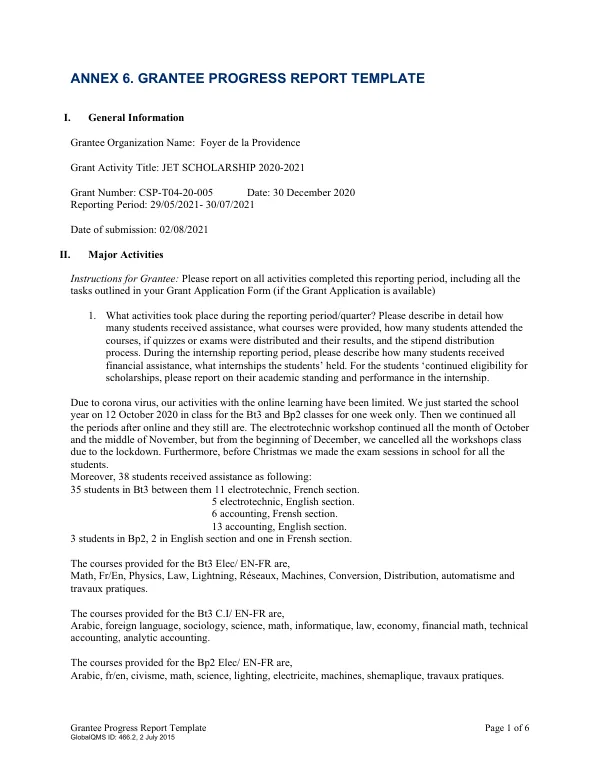 Grantee Progress Report Template
