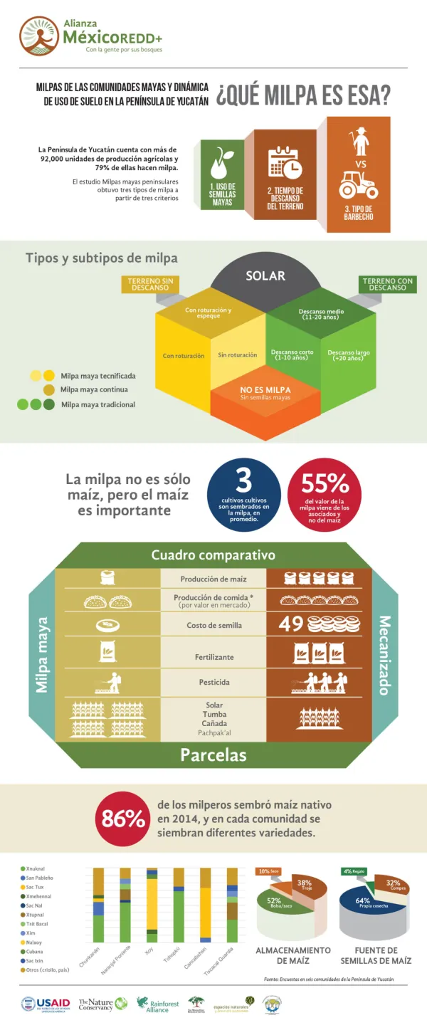 Milpas de las comunidades mayas y dinámica de uso de suelo en la Península de Yucatán (infografía)
