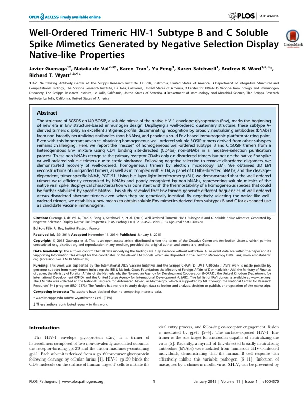 Well-Ordered Trimeric HIV-1 Subtype B and C Soluble Spike Mimetics Generated by Negative Selection Display Native-like Properties