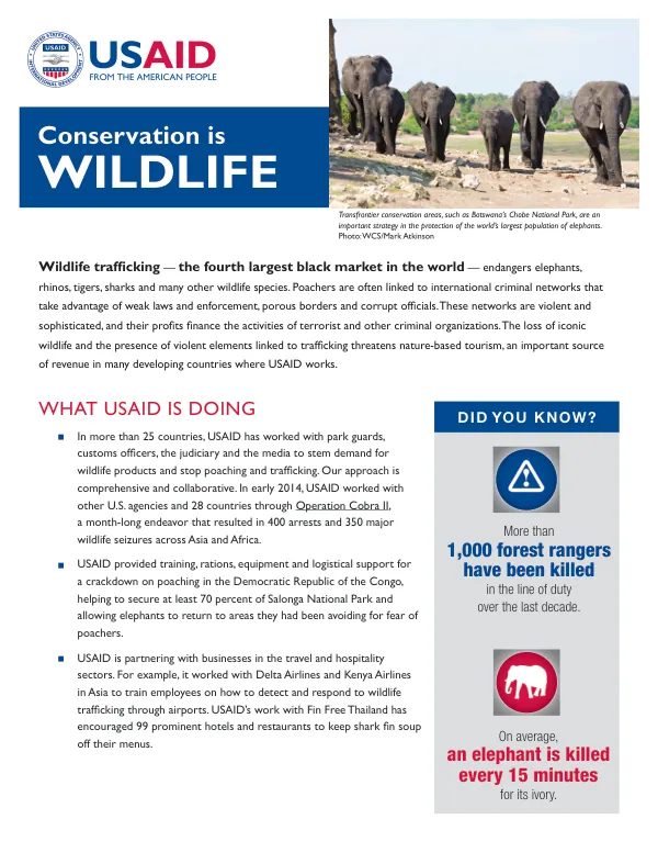 USAID's Work to Combat Wildlife Trafficking