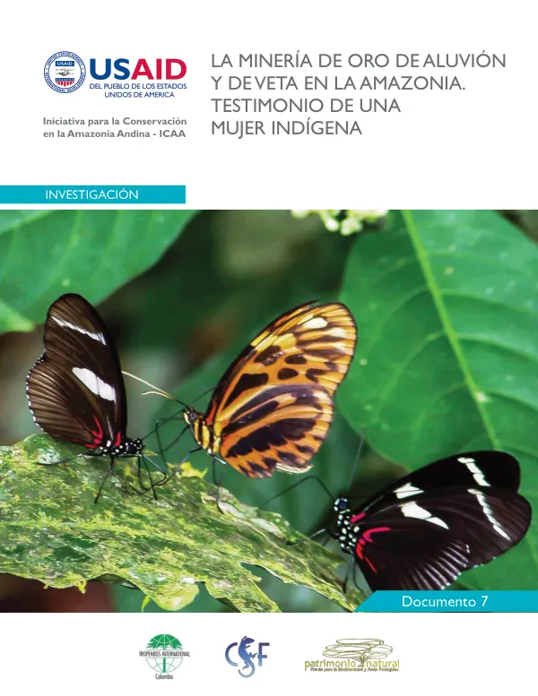 La minería de oro de aluvión y de veta en la Amazonia. TesƟmonio de una mujer indígena