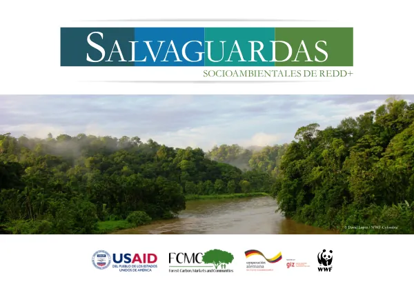 Salvaguardas Socioambientales de REDD+