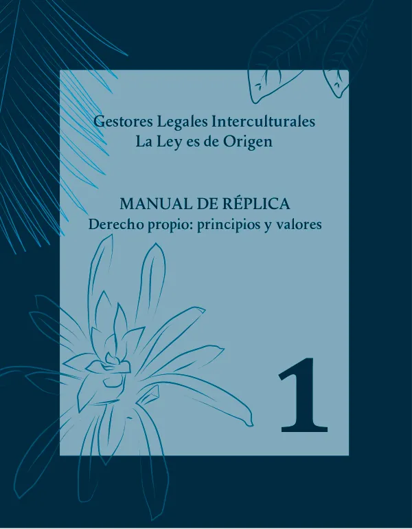 Manual de réplica n.º 1 Derecho propio: principios y valores