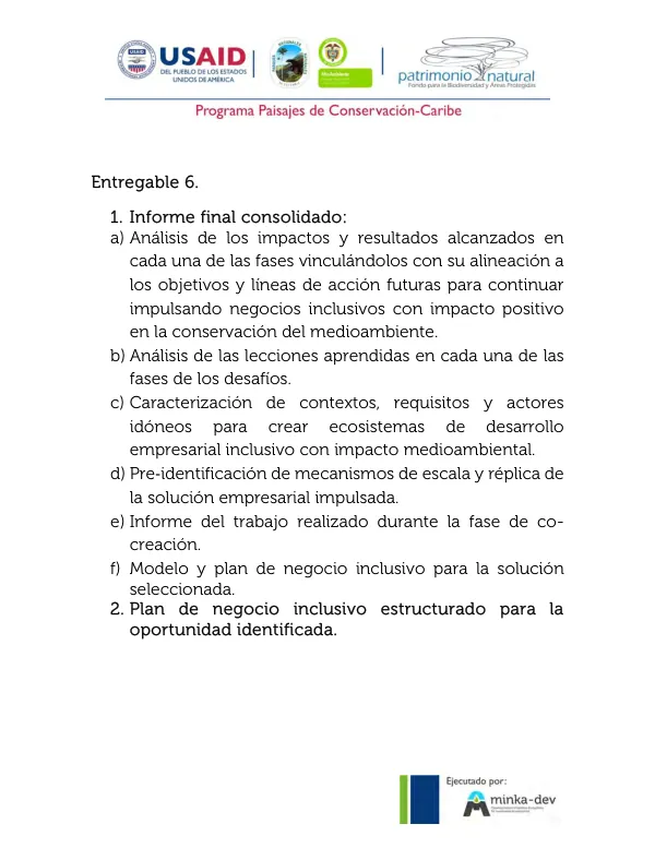 Informe Final del Contrato No. US-372: Desarrollo de Negocios Inclusivos con Impacto Medioambiental