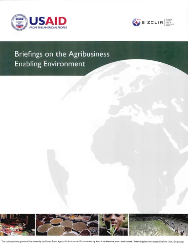 America"s Development Foundation : democracy network II -- final report