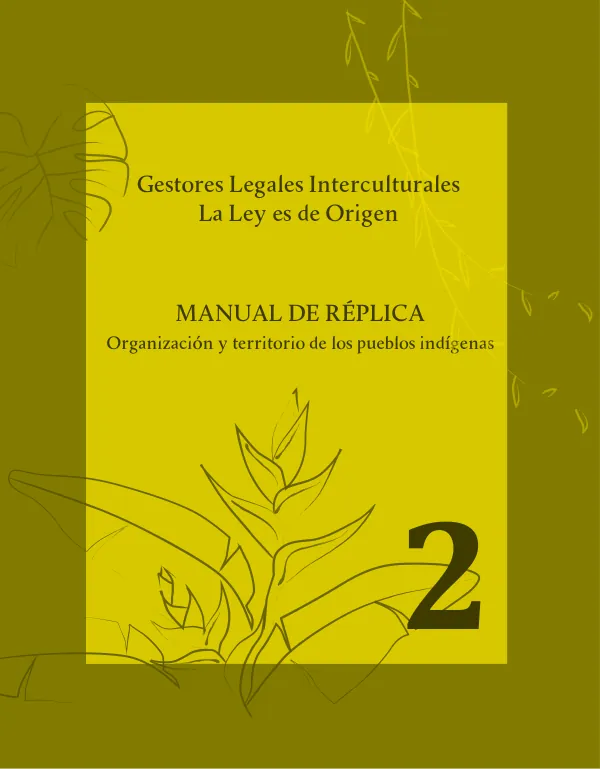Manual de réplica n.º 2: Organización y territorio de los pueblos indígenas