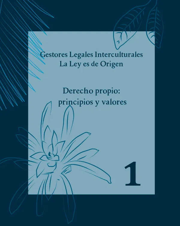 Cartilla n.º 1 Derecho propio: principios y valores