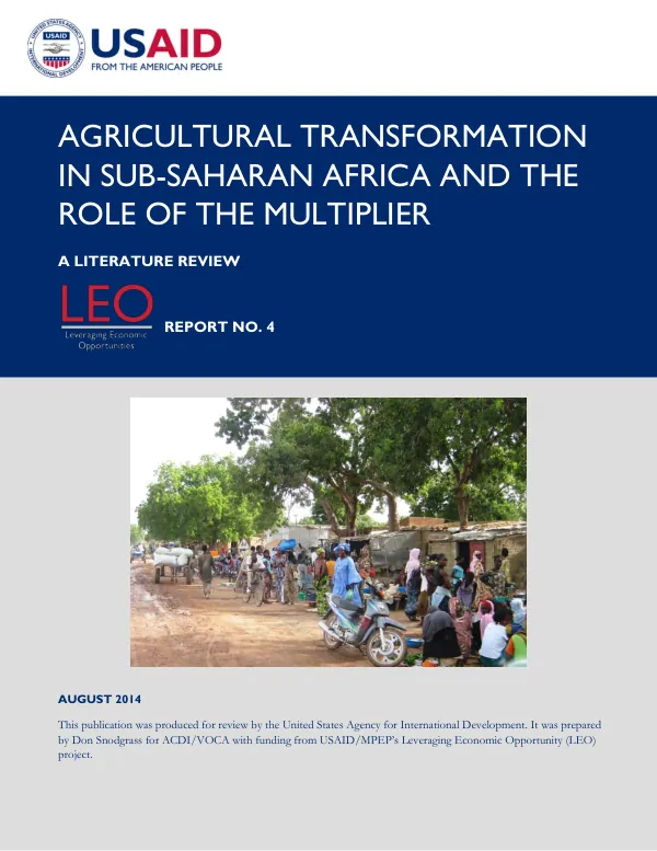 Agricultural Transformation in Sub-Saharan Africa and the Role of the Multiplier: A Literature Review