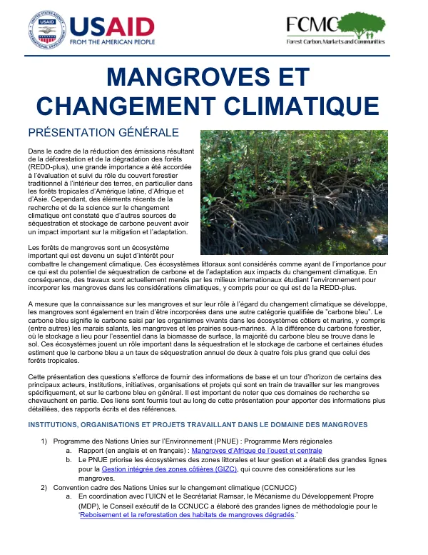 Mangroves et changement climatique