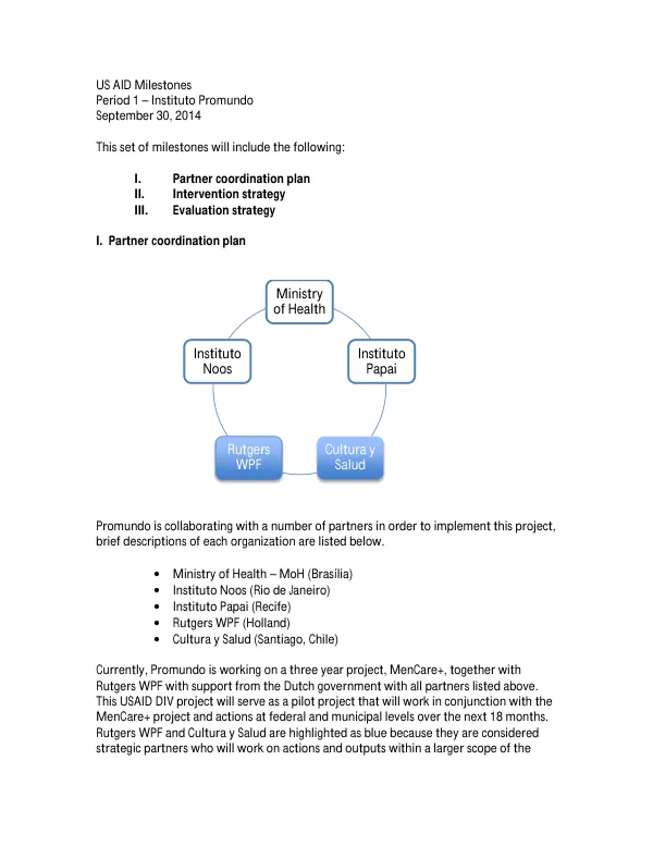 US AID Milestones Period 1 – Instituto Promundo