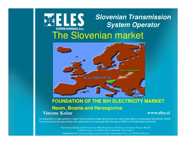 Foundation of the BIH Electricity Market