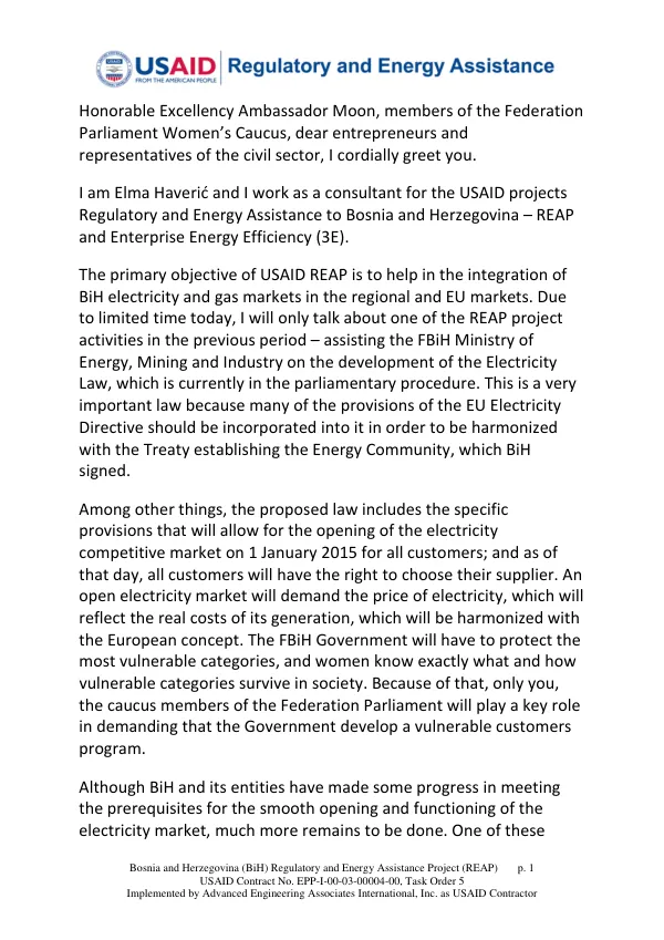 Bosnia and Herzegovina (BiH) Regulatory and Energy Assistance Project (REAP)