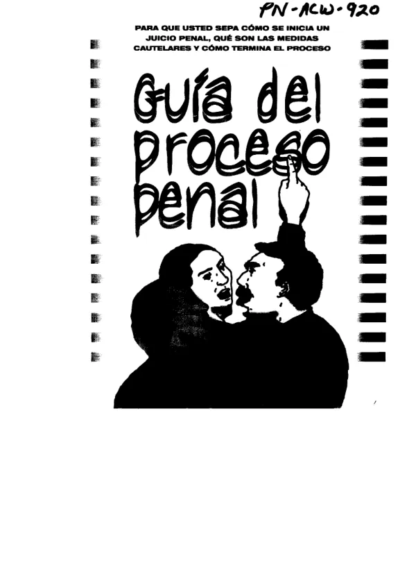 Proceso Penal en Bolivia: Medidas Cautelares y Salidas Alternativas
