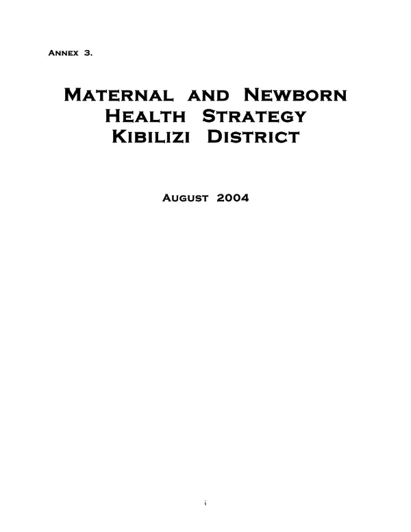Maternal and newborn health strategy : Kibilzi District
