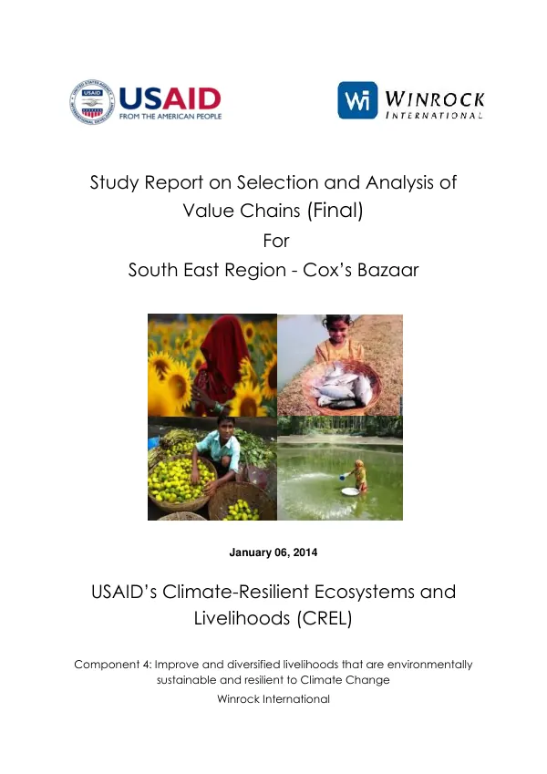 Study Report on Selection and Analysis of Value Chains (Final)