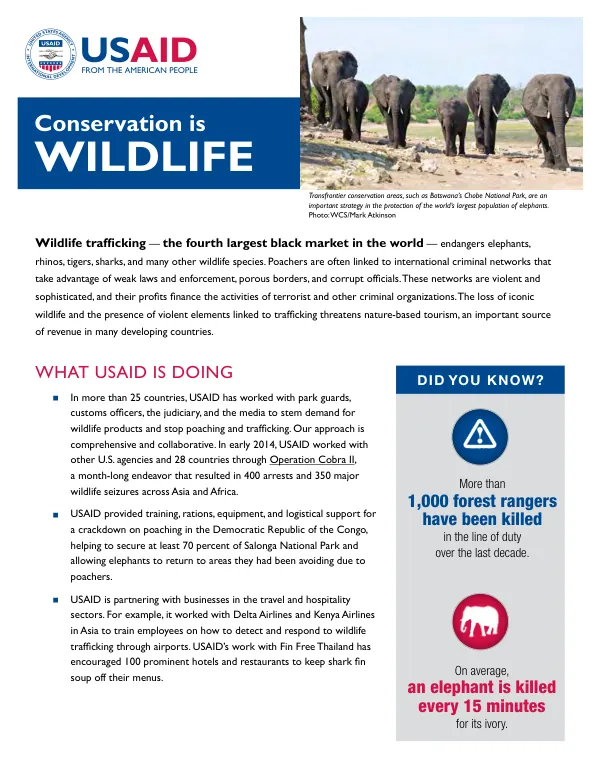 USAID’s Work in Action: Reducing Demand for Wildlife Products and Strengthening Anti-Poaching Efforts in Africa