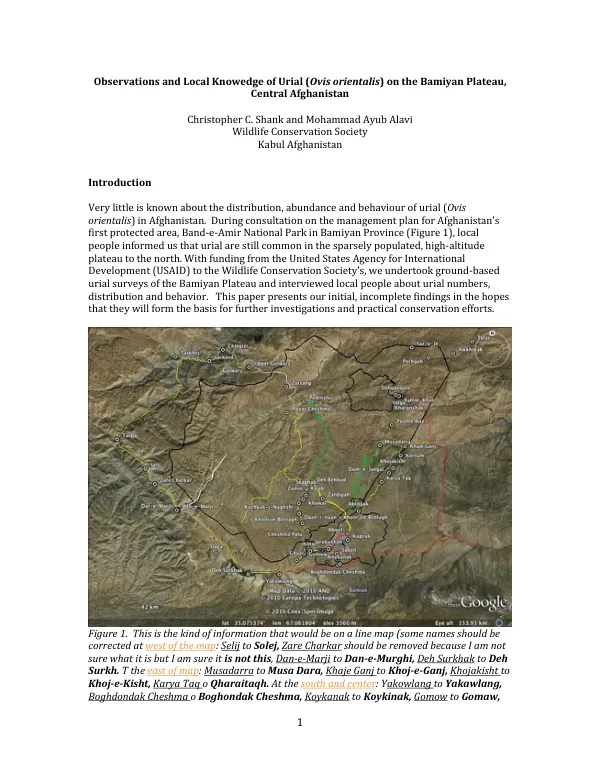 Observations and Local Knowledge of Urial (Ovis orientalis) on the Bamiyan Plateau, Central Afghanistan