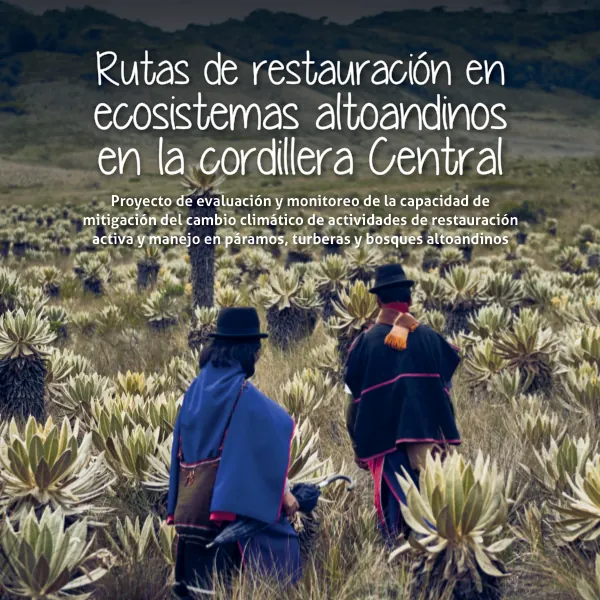 Proyecto de evaluación y monitoreo de la capacidad de mitigación del cambio climático de actividades de restauración activa y manejo en páramos, turberas y bosques altoandinos