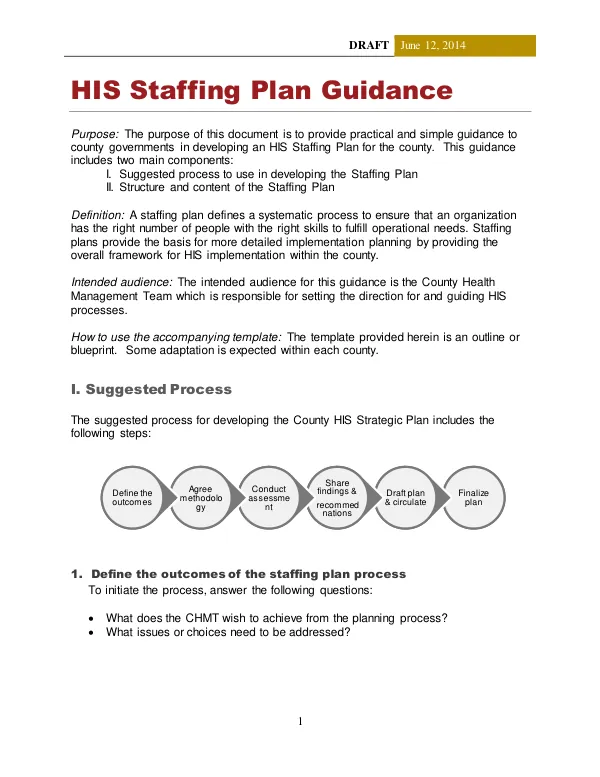 HIS Staffing Guidance for County Governments