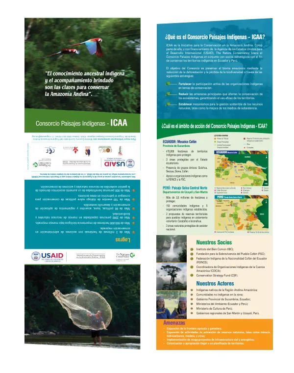 Triptico ICAA Español Final