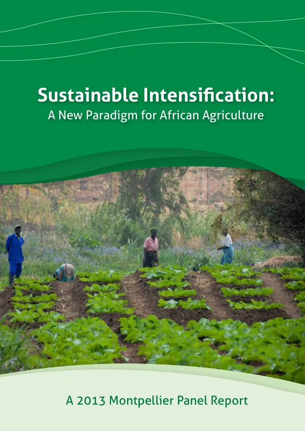 Sustainable Intensification: A New Paradigm for African Agriculture
