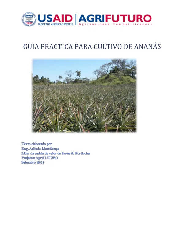 Guia Prática para Cultivo de Ananás
