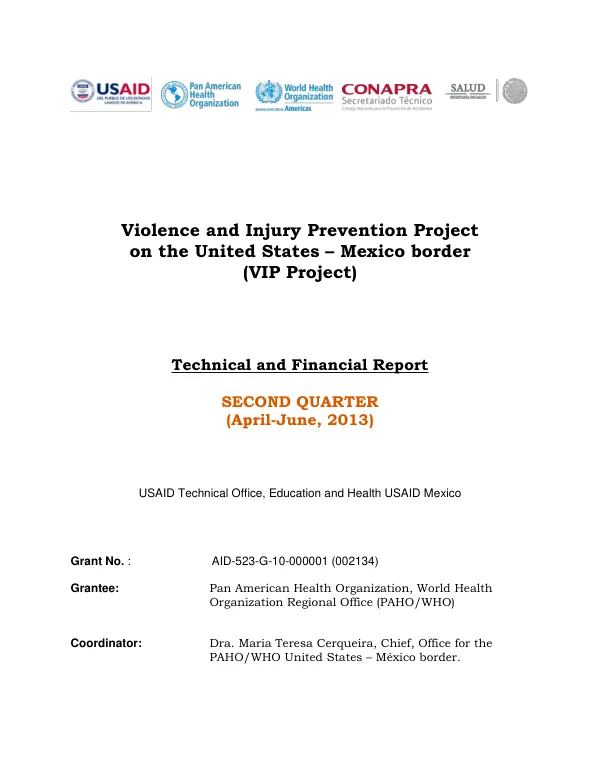 Violence and Injury Prevention Project (VIP Project) Technical and Financial Report