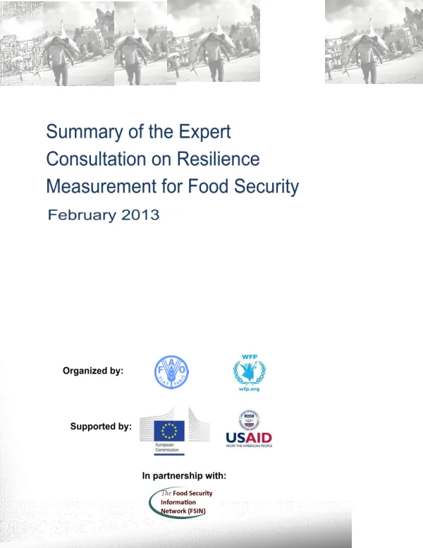 Final Report: Expert Consultation on Measuring Resilience in the Face of Shocks and Stresses