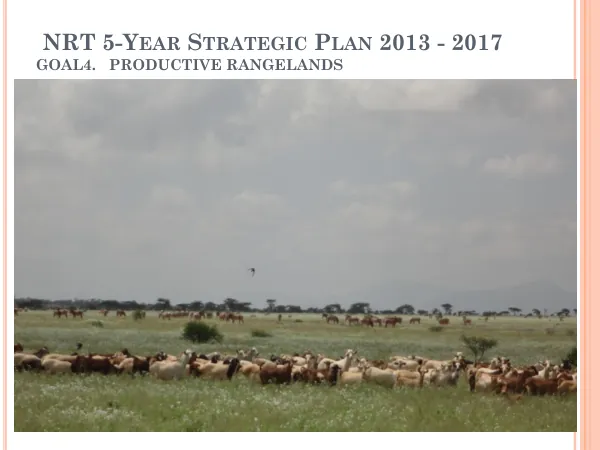 NRT 5-Year Strategic Plan 2013 - 2017: Grazing Management