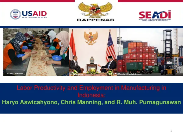 Labor Productivity and Employment in Manufacturing in Indonesia
