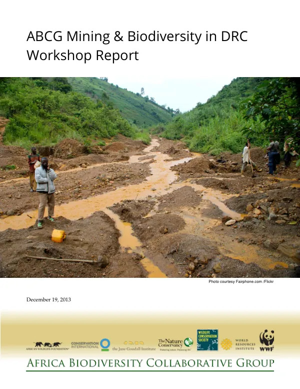 Workshop Report: ABCG Mining & Biodiversity in DRC
