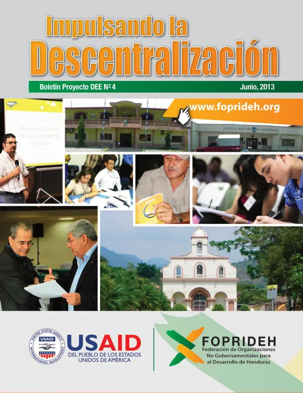 Boletín Proyecto DEE N°- 4: Impulsando la Descentralización