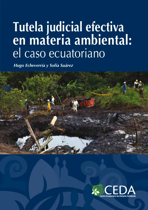 Tutela judicial efectiva en materia ambiental: el caso ecuatoriano