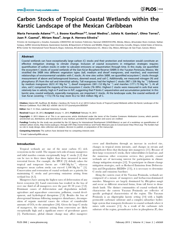 Carbon Stocks of Tropical Coastal Wetlands within the Karstic Landscape of the Mexican