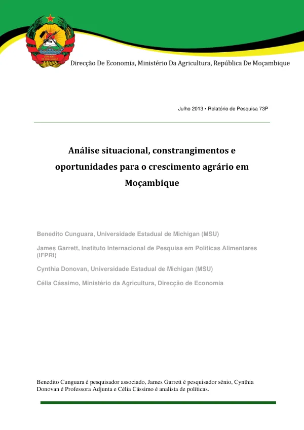Análise situacional, constrangimentos e oportunidades para o crescimento agrário em Moçambique