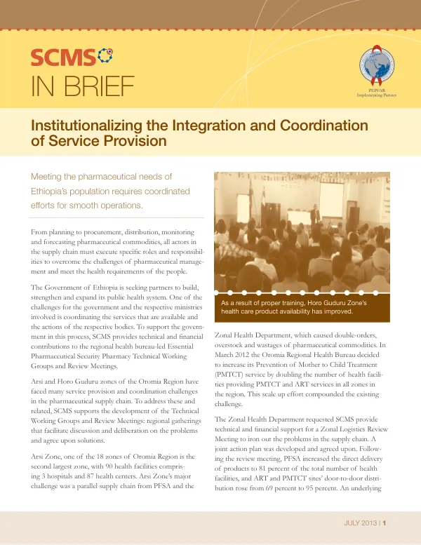 Institutionalizing the Integration and Coordination of Service Provision