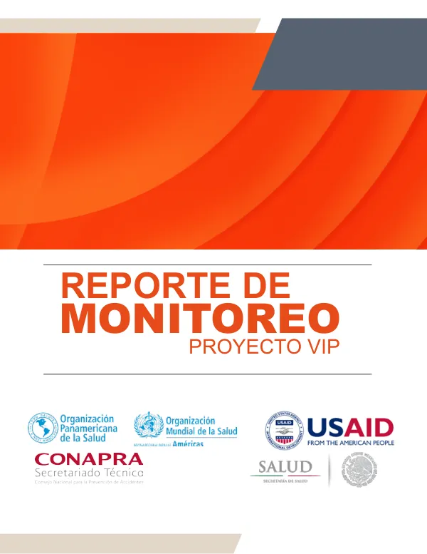 ReporTE DE MONITOREO PROYECTO VIP