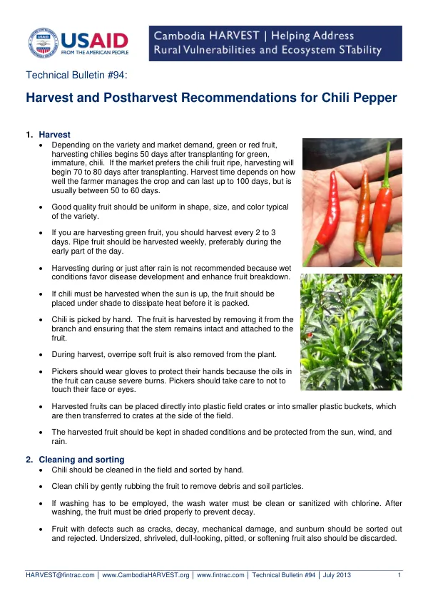 Harvest and Postharvest Recommendations for Chili Pepper