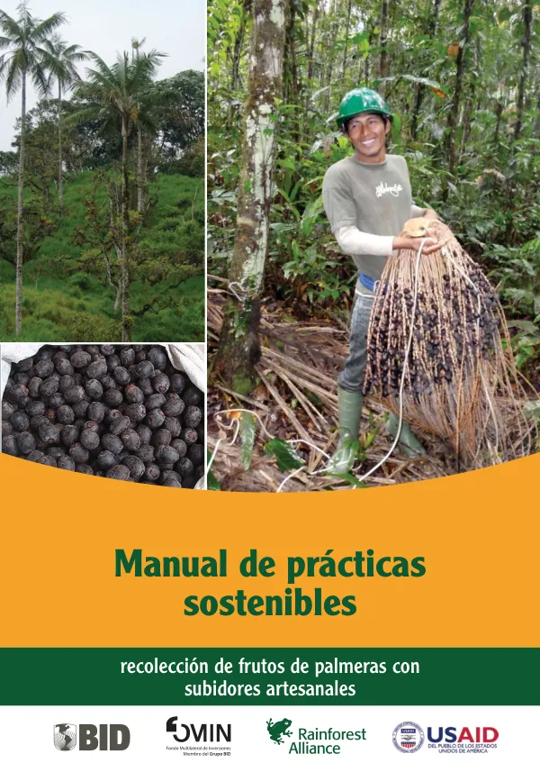 Manual de prácticas sostenibles: recolección de frutos de palmeras con subidores artesanales
