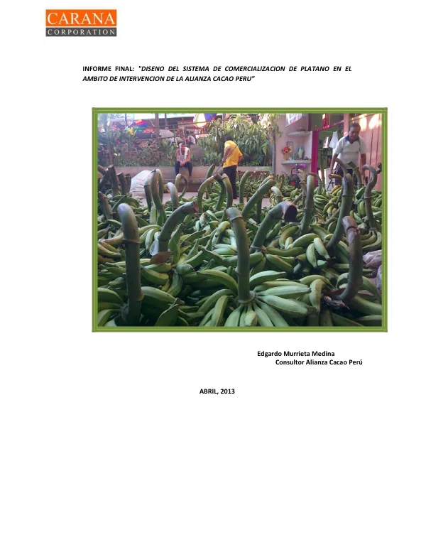 Informe Final: Diseño del Sistema de Comercialización de Plátano en el Ámbito de Intervención de la Alianza Cacao Perú