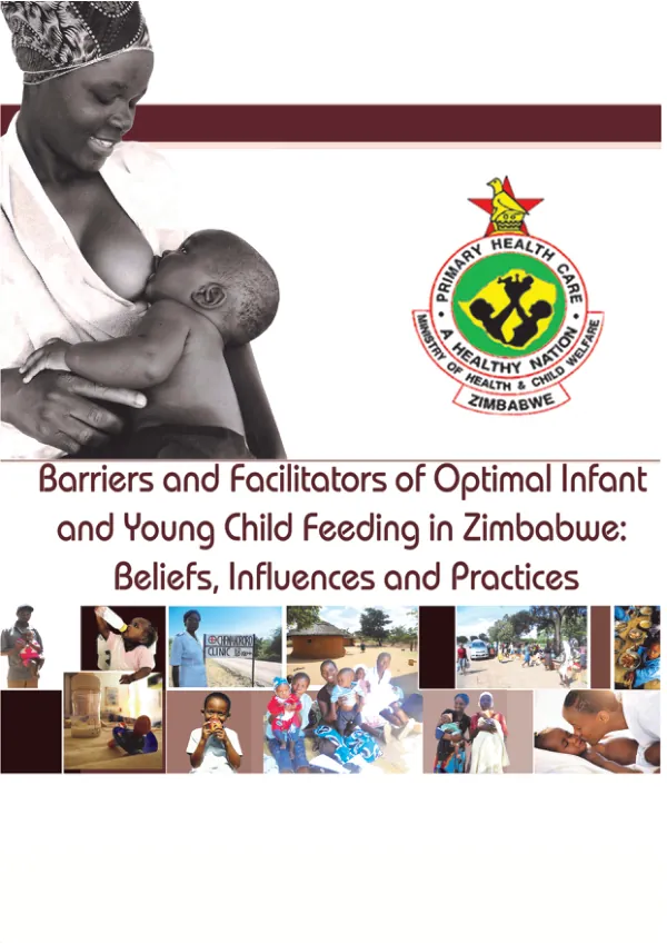Assessment of Breastfeeding and Complementary Feeding Practices in Zimbabwe