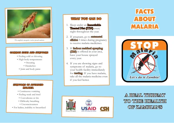 Malaria Prevention and Treatment in Zambia