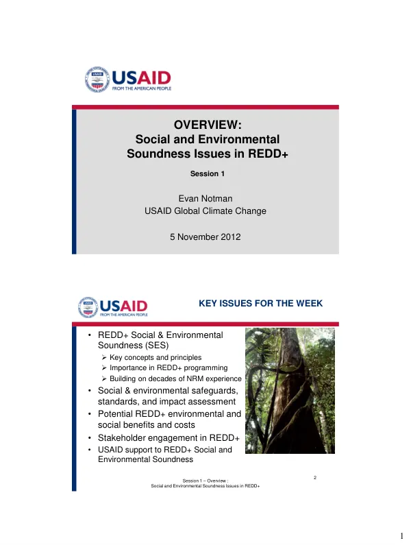 Social and Environmental Soundness Issues in REDD+