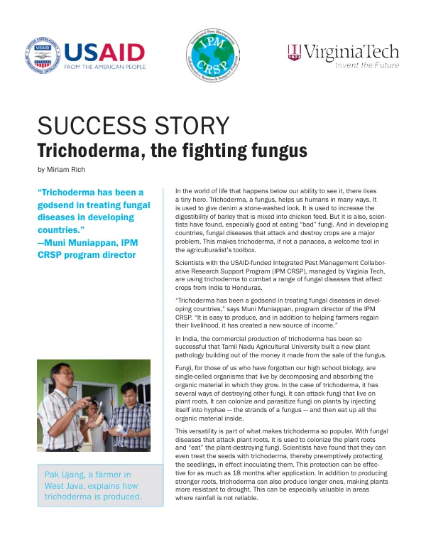 Trichoderma, the fighting fungus
