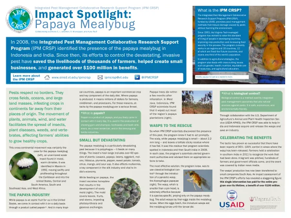 Integrated Pest Management Collaborative Research Support Program (IPM CRSP) Impact Spotlight: Papaya Mealybug