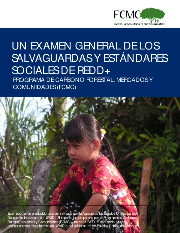 UN EXAMEN GENERAL DE LOS SALVAGUARDAS Y ESTÁNDARES SOCIALES DE REDD+