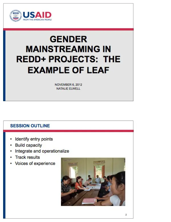 GENDER MAINSTREAMING IN REDD+ PROJECTS: THE EXAMPLE OF LEAF
